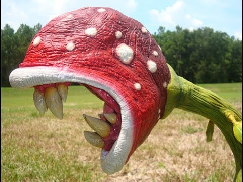 【画像】面白い見た目の植物【ブツブツ禁止】