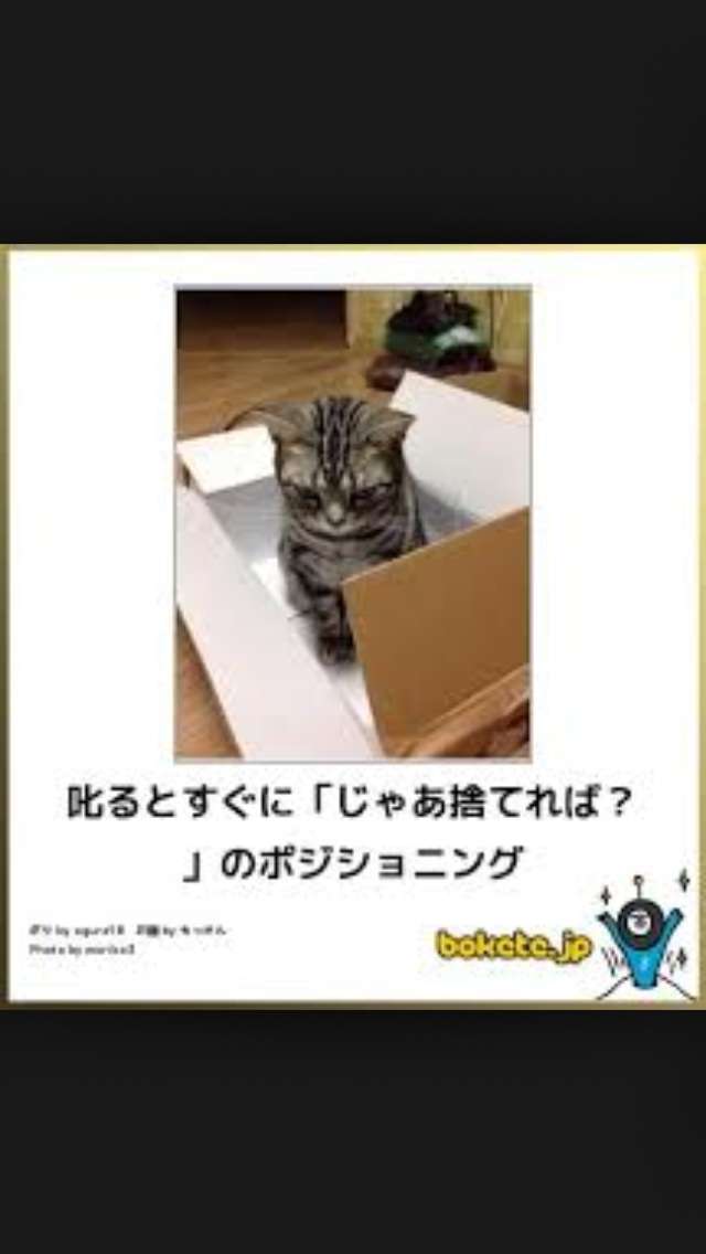 動物のボケて貼って下さい
