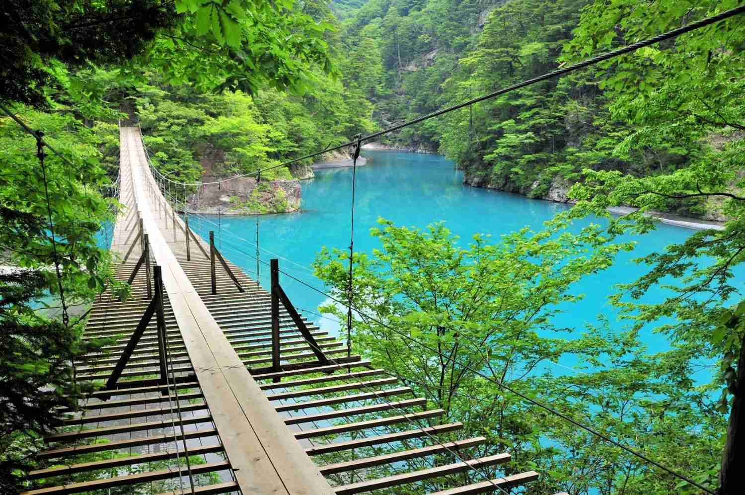 素敵な橋の画像