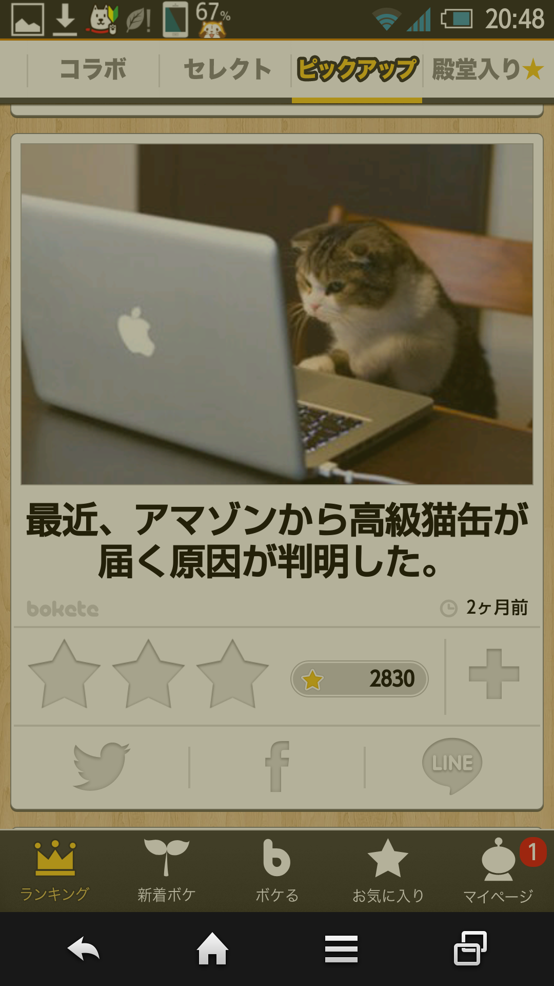 動物のボケて貼って下さい
