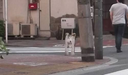 顔に見えちゃう画像（心霊モノは除く）