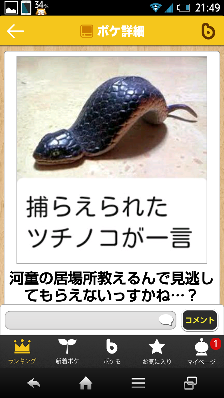 動物のボケて貼って下さい