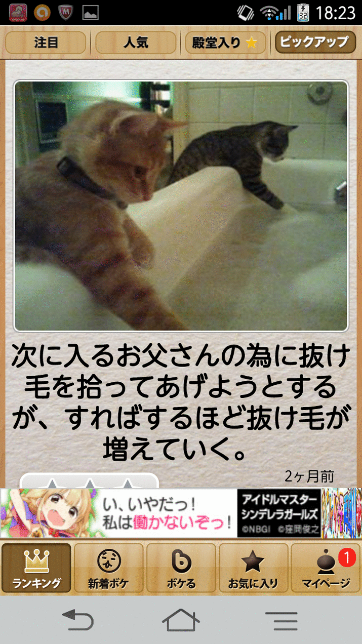 動物のボケて貼って下さい