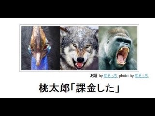動物のボケて貼って下さい