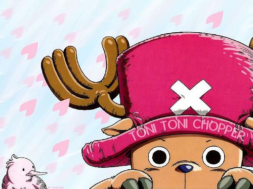 ペットにしたいのは？