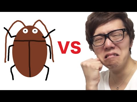 【恐怖】ヒカキン vs ゴキブリ！バトルして大発狂！ - YouTube