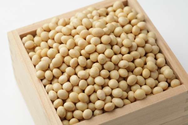 缶詰トマトや大豆も！？身近にあるけど「意外と体に悪い」食品7選 - Spotlight (スポットライト)