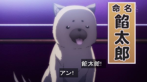 ペットにしたいのは？