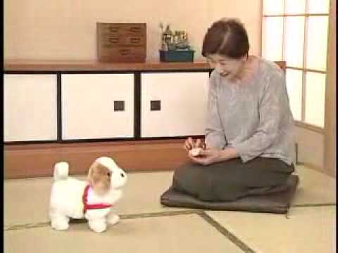 日本直販 愛犬ロボ「てつ」 - YouTube