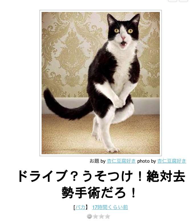 動物のボケて貼って下さい