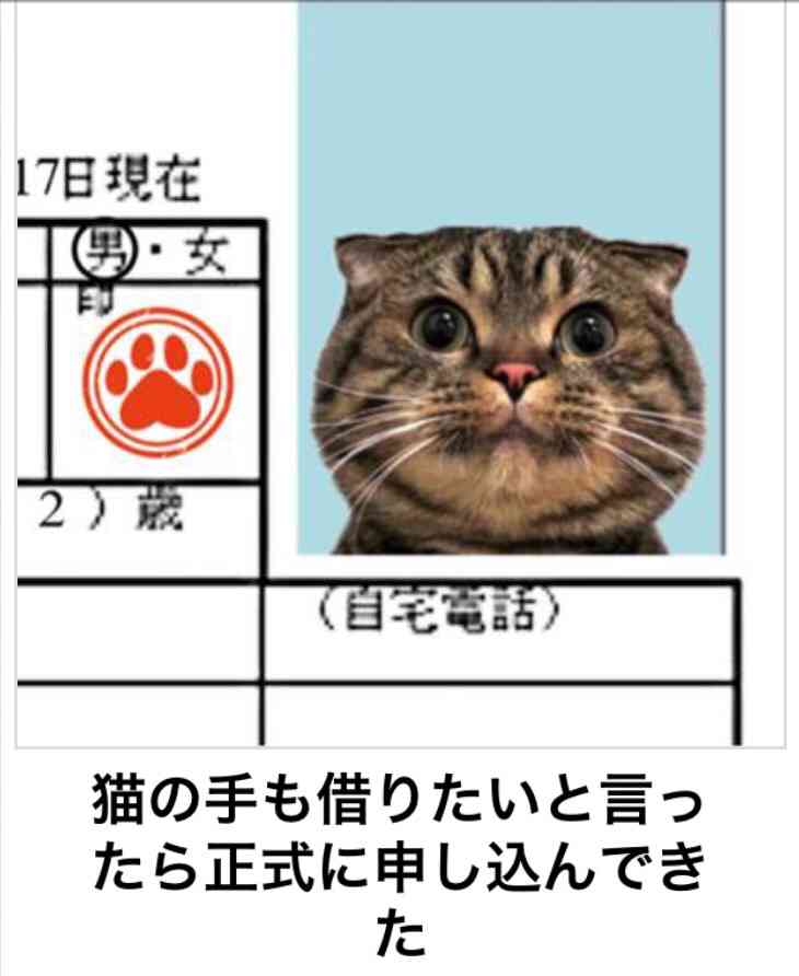 動物のボケて貼って下さい