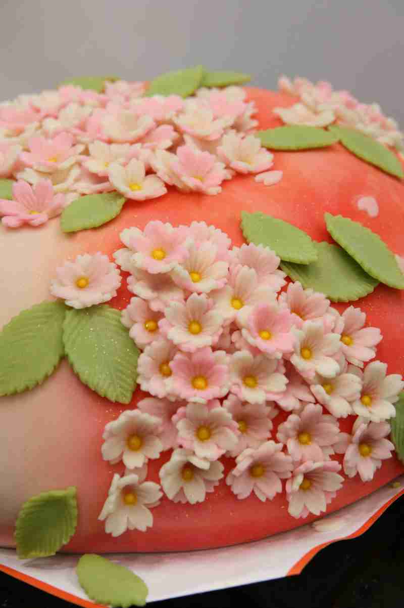 可愛い、綺麗なお菓子の画像