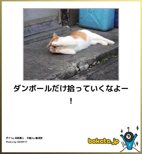 動物のボケて貼って下さい