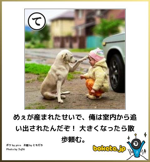 動物のボケて貼って下さい