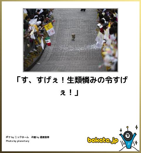 動物のボケて貼って下さい