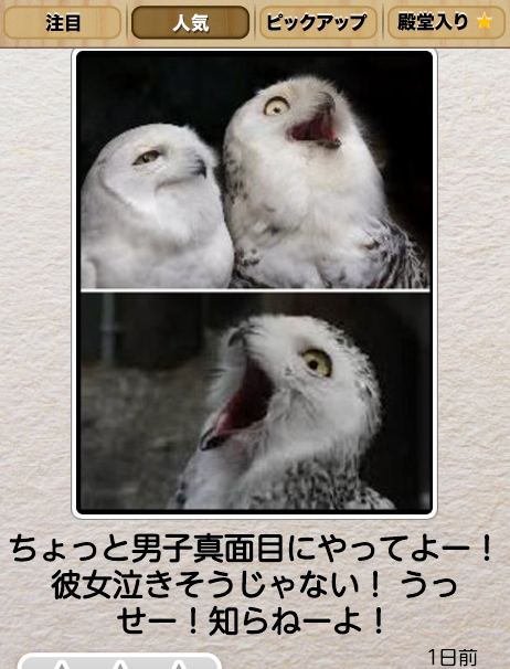 動物のボケて貼って下さい