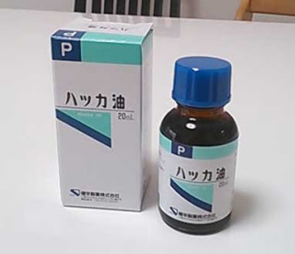 安価かつスマートにゴキブリを退治できる対G兵器がこちら!
