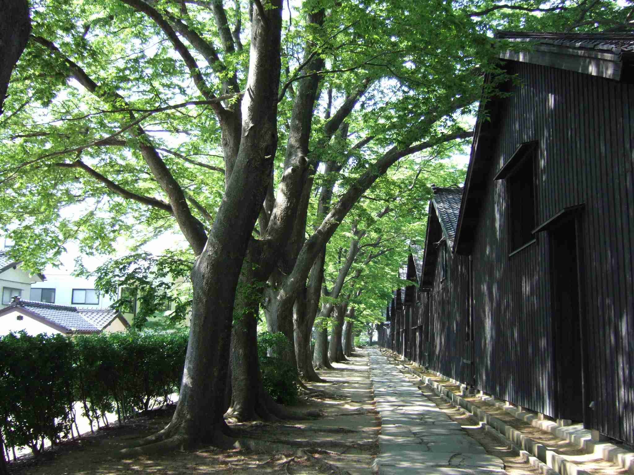 山形県の方、教えてください！（おすすめスポット、グルメ、お土産）