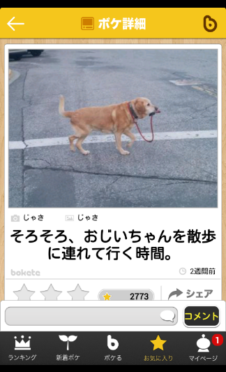 動物のボケて貼って下さい