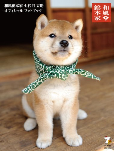 1番好きな犬の種類教えて