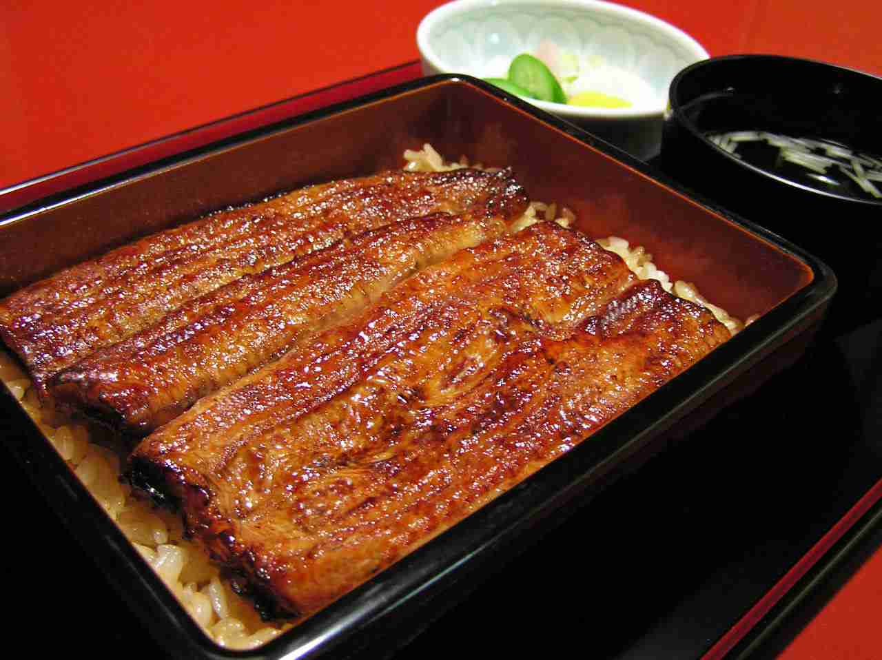 あなたの元気飯は何ですか？