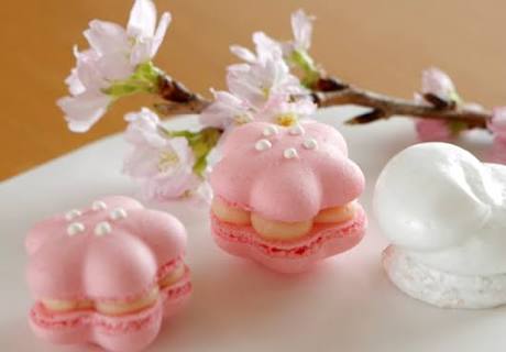 可愛い、綺麗なお菓子の画像