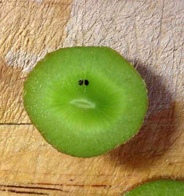 顔に見えちゃう画像（心霊モノは除く）