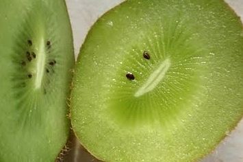 顔に見えちゃう画像（心霊モノは除く）