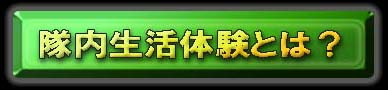 隊内生活体験とは