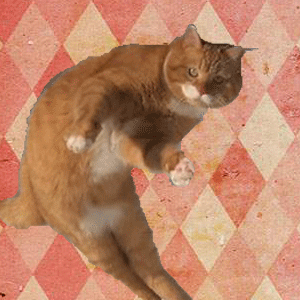 保守砲＠ドカドカ①　【転載】余命三年時事日記の正体 - でれでれ草　DereDre　Gusa