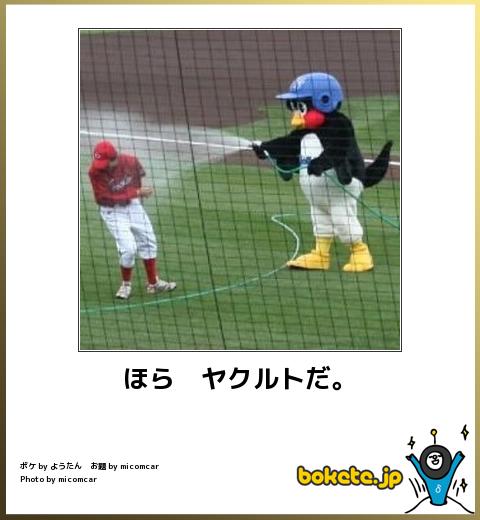 動物のボケて貼って下さい