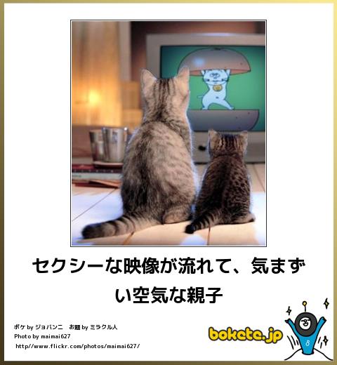 動物のボケて貼って下さい
