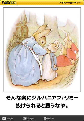 動物のボケて貼って下さい