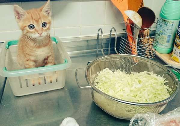 今の感情を画像で!