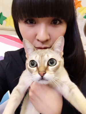 芸能人のペット画像