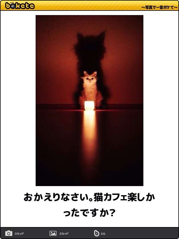 動物のボケて貼って下さい