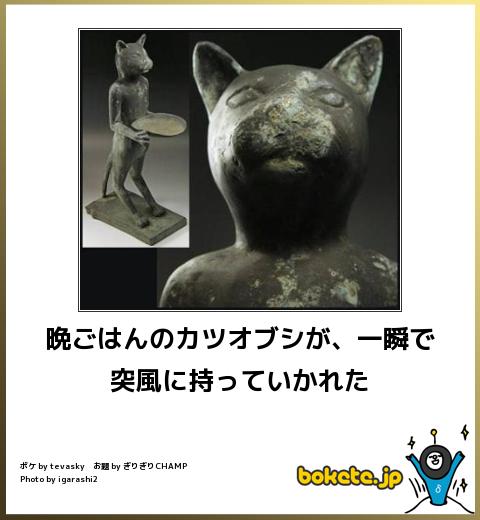 動物のボケて貼って下さい