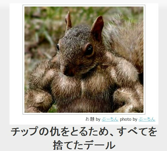 動物のボケて貼って下さい