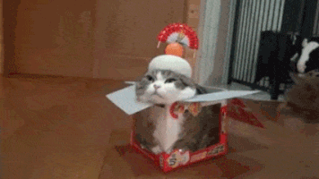【画像】はまりまくる動物たち