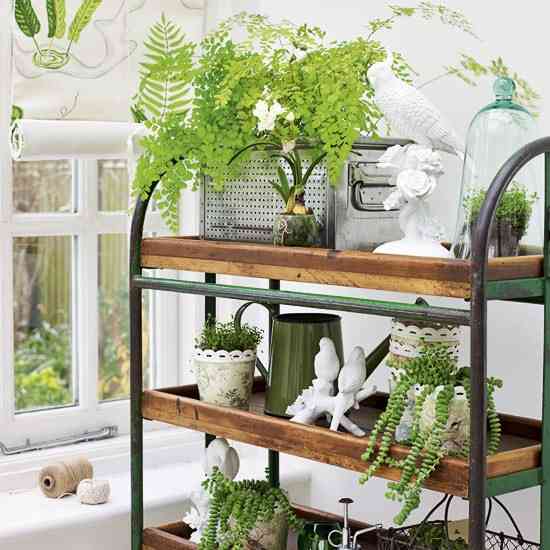 観葉植物やお花に癒されてる人