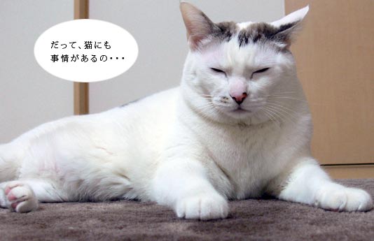 どういう訳か子供に好かれる方