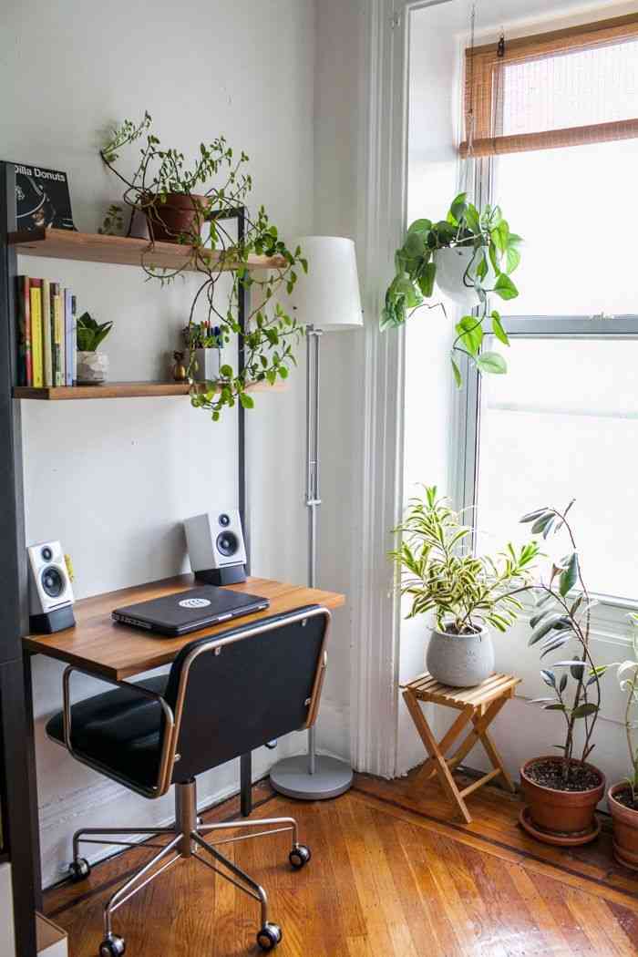 観葉植物やお花に癒されてる人