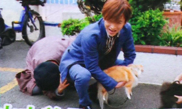 ジャニーズメンバーの笑顔の画像を貼るトピ