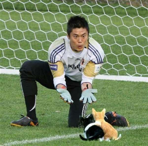 笑えるコラ画像ください