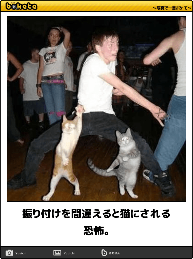 動物のボケて貼って下さい