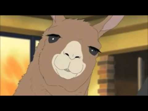 Llama - san - Llama-san no Llama Mambo [ラマさんのラママンボ] Shirokuma Cafe Ending 8 - YouTube