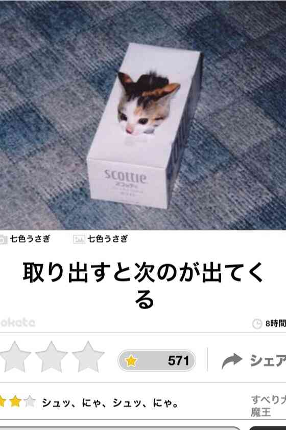 動物のボケて貼って下さい