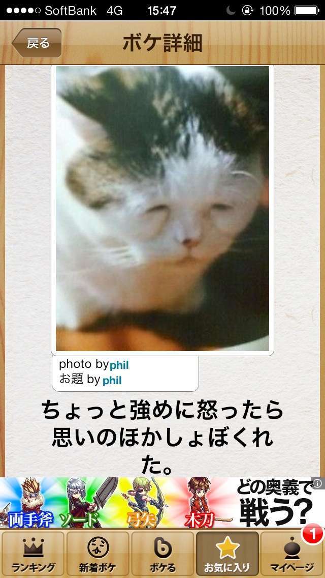 動物のボケて貼って下さい