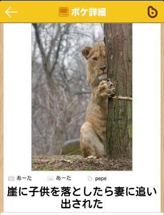 動物のボケて貼って下さい