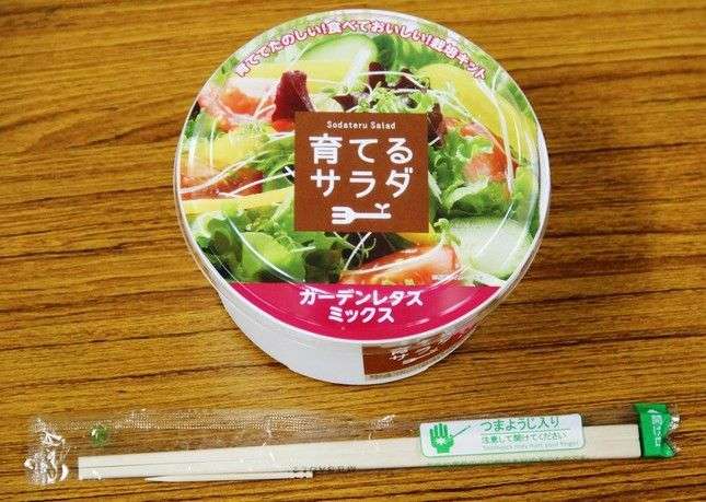 【教えて】ベランダで出来るプランター栽培